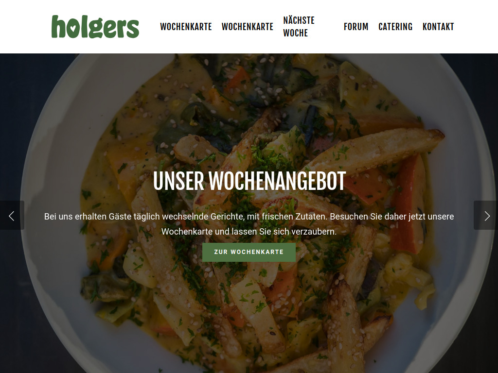 Website von Holger Radenz in Freiburg