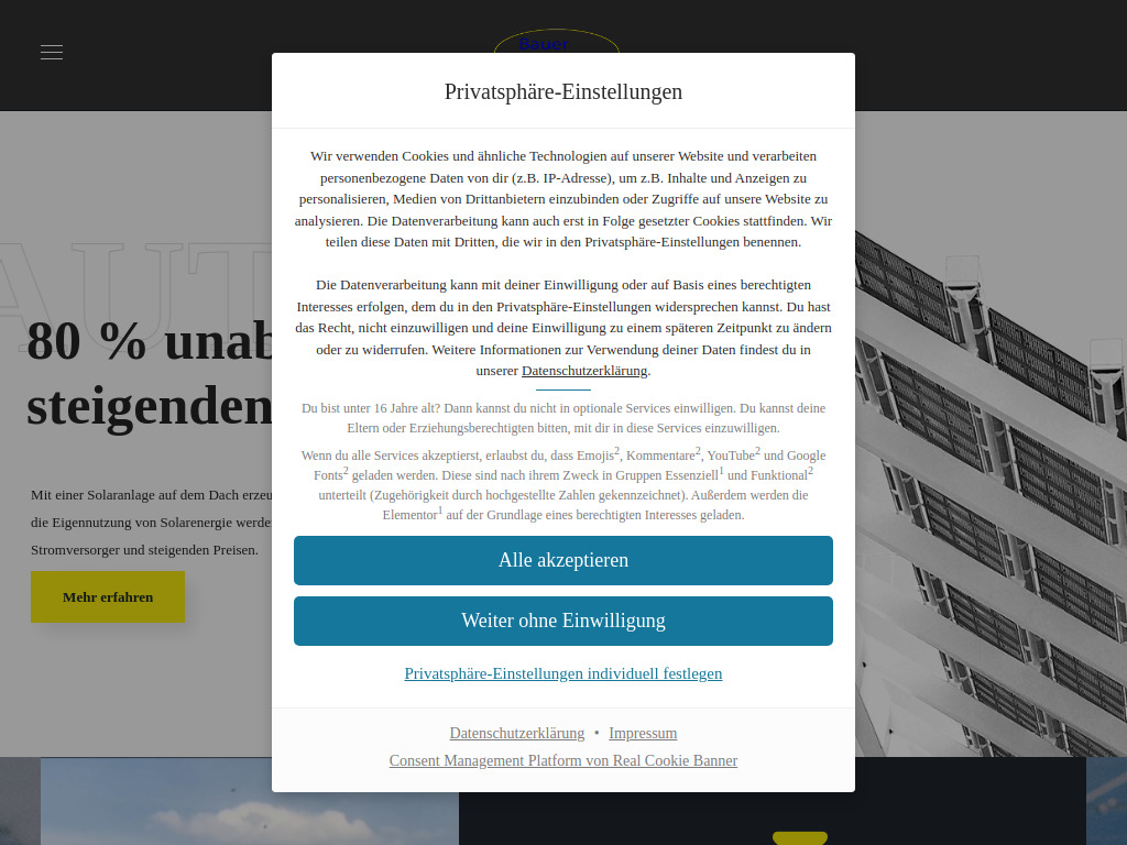 Website von Bauer Solarstrom GmbH in Au am Rhein