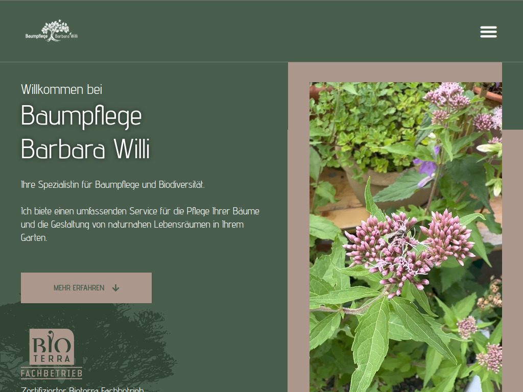 Website von Baumpflege Barbara Willi in Wetzikon