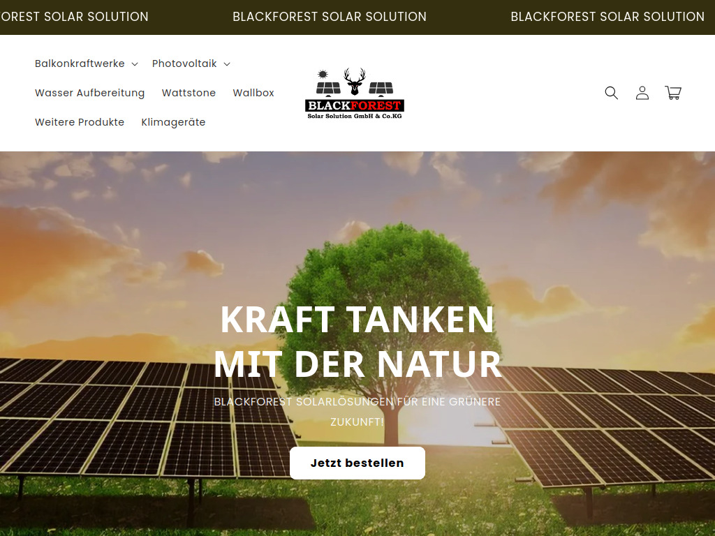Website von Blackforest Solar Solution GmbH & Co. KG in Appenweier