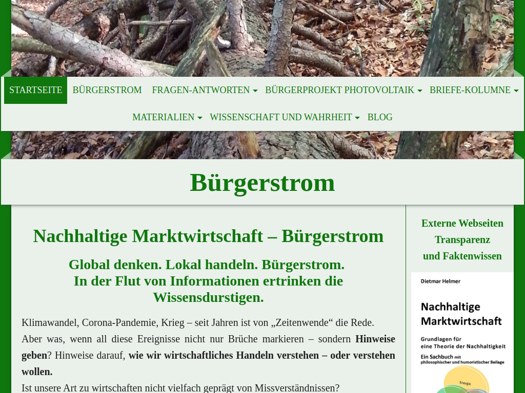 Website von Dietmar Helmer in Remseck-Pattonville