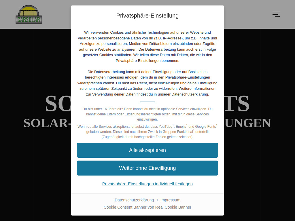 Website von Carsolar Andreas Herlein in Zeil am Main