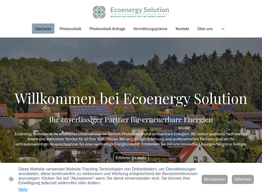 Website von Ecoenergy Solution in Seelze