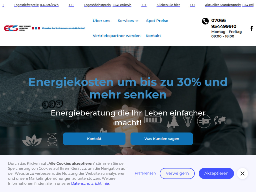 Website von ECS - Energy Efficiency Contract Systems in Bad Rappenau