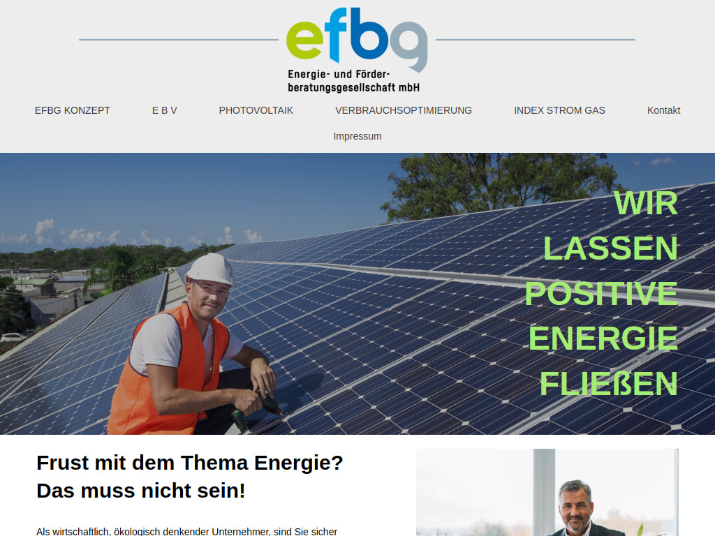 Website von EFBG Energie- und Förderberatungsgesellschaft mbH in Karlsruhe