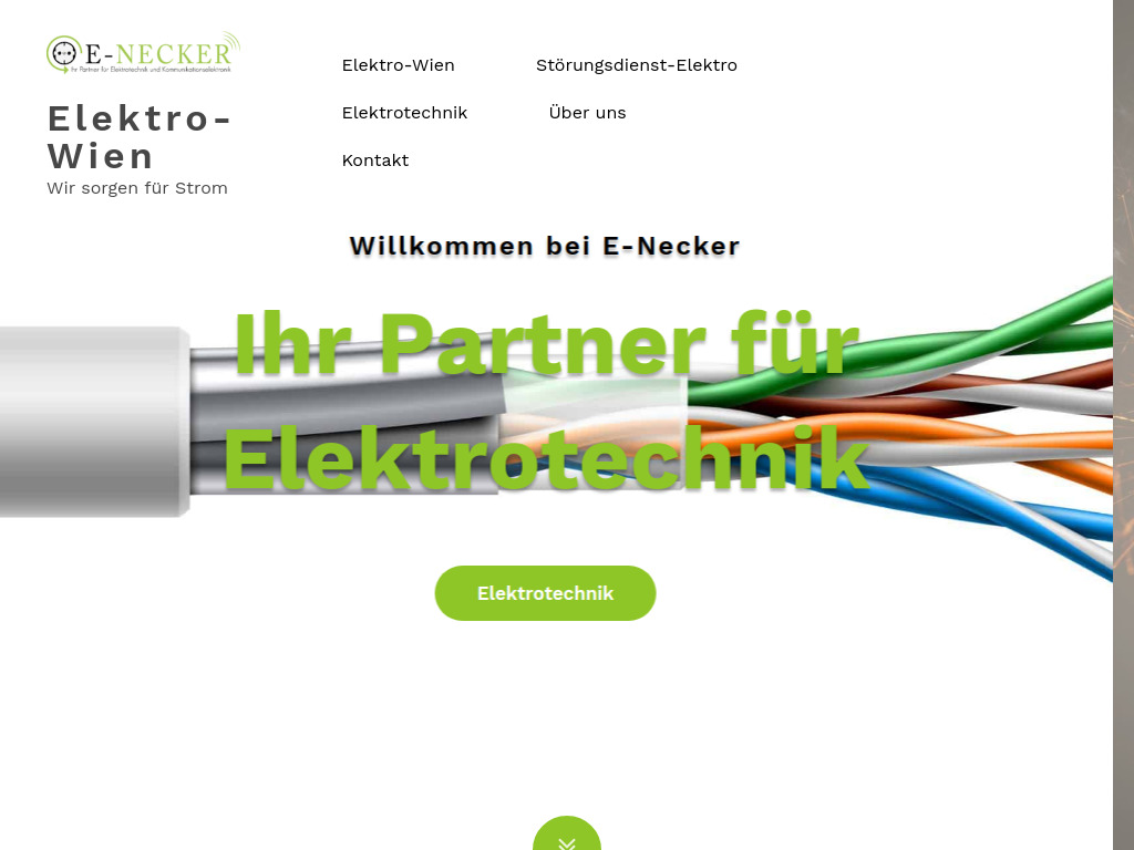 Website von E-Necker GmbH in Wien
