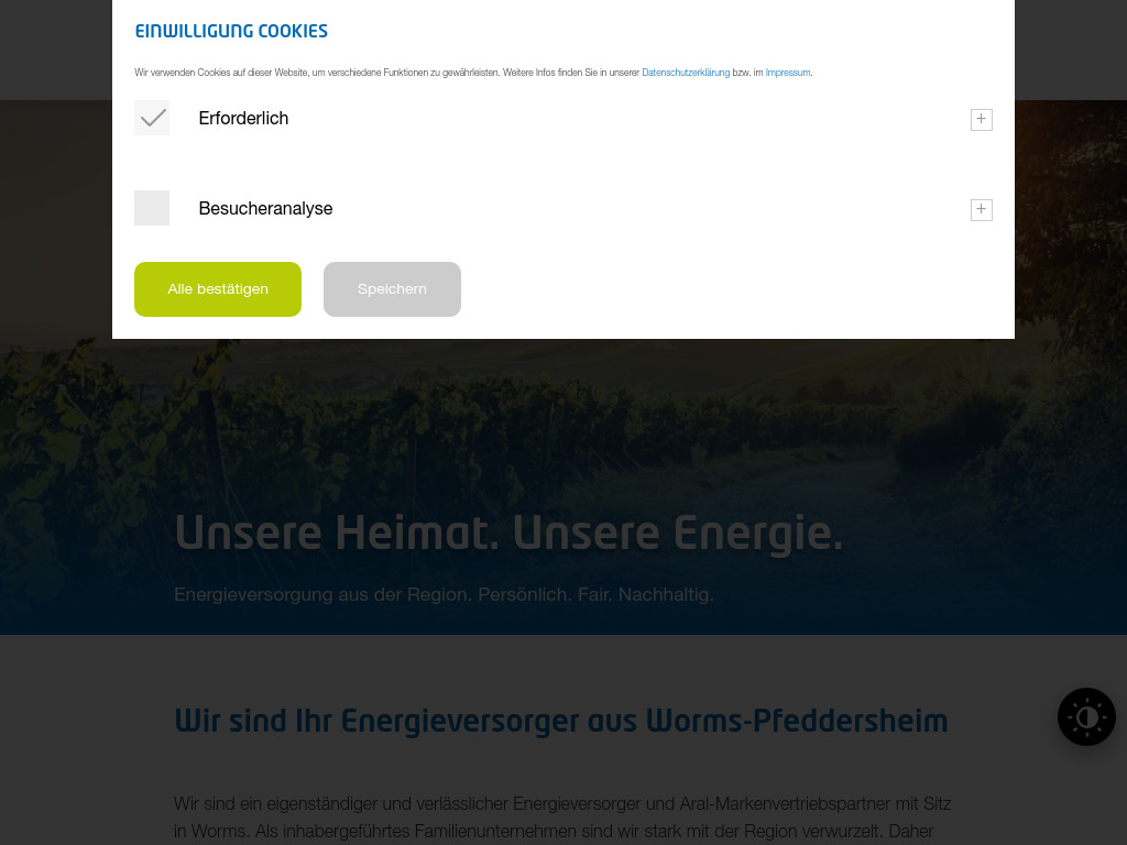 Website von Berg Energie GmbH in Worms