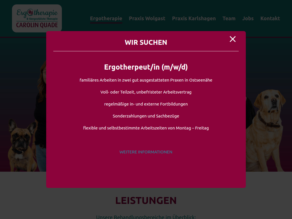 Website von Ergotherapie Carolin Quade in Wolgast