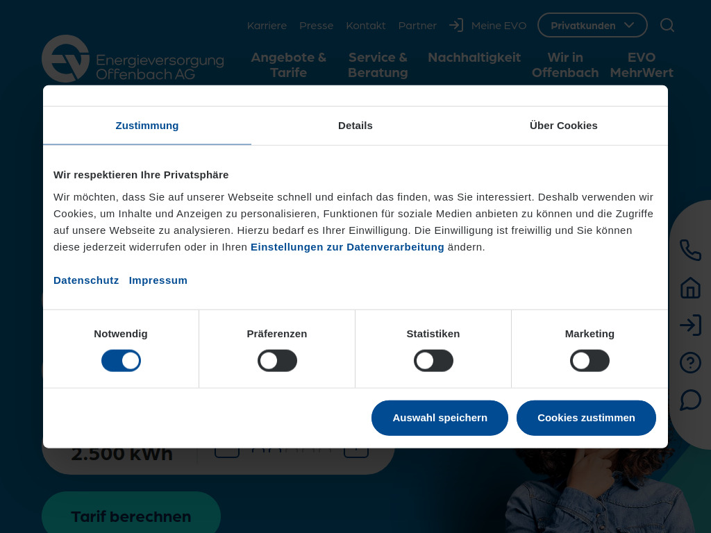 Website von EVO Strom & Gas der Energieversorgung Offenbach AG in Offenbach