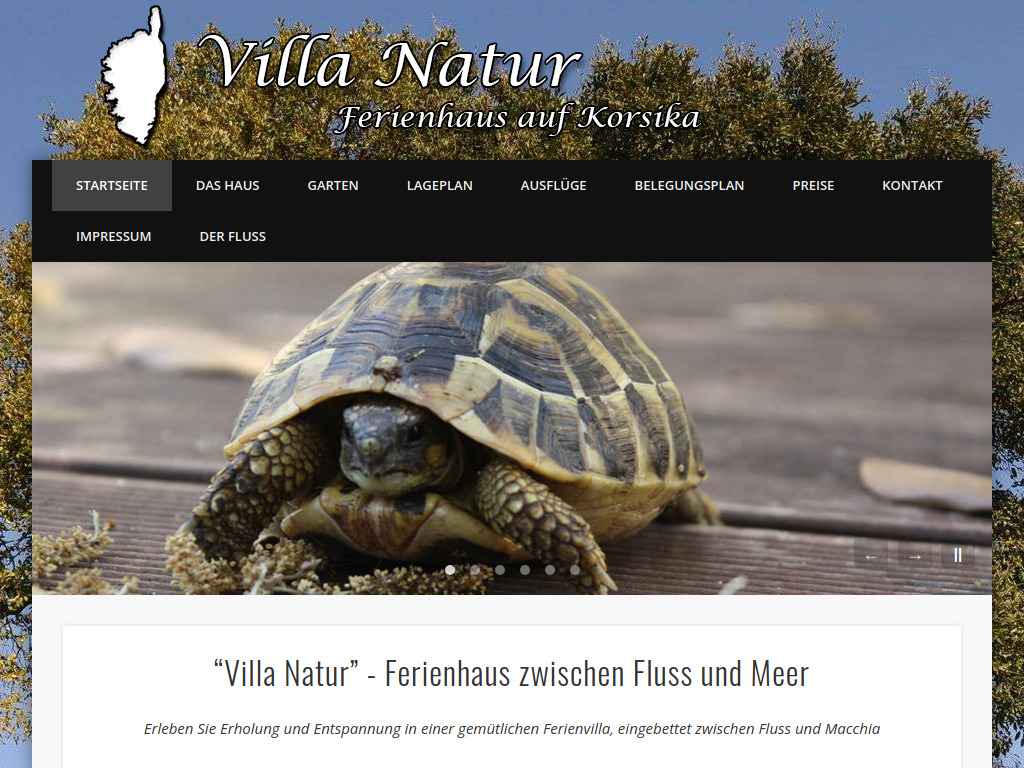 Website von Siegfried Klukas in Trossingen