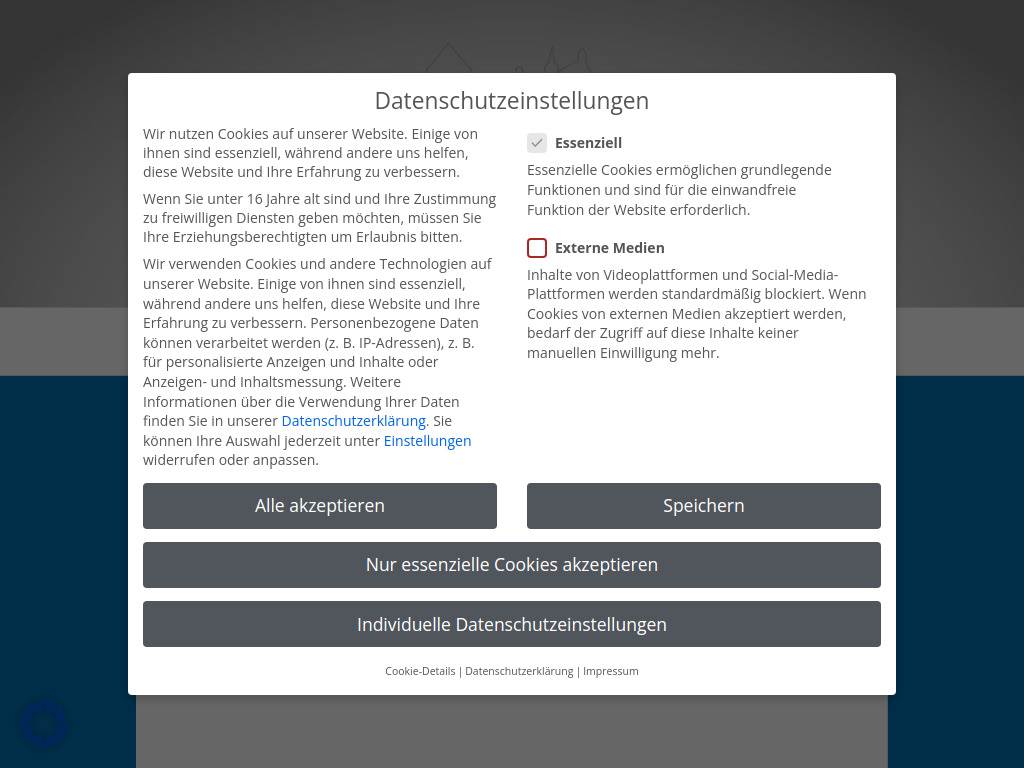 Website von Ferienspiele in Steinau an der Straße