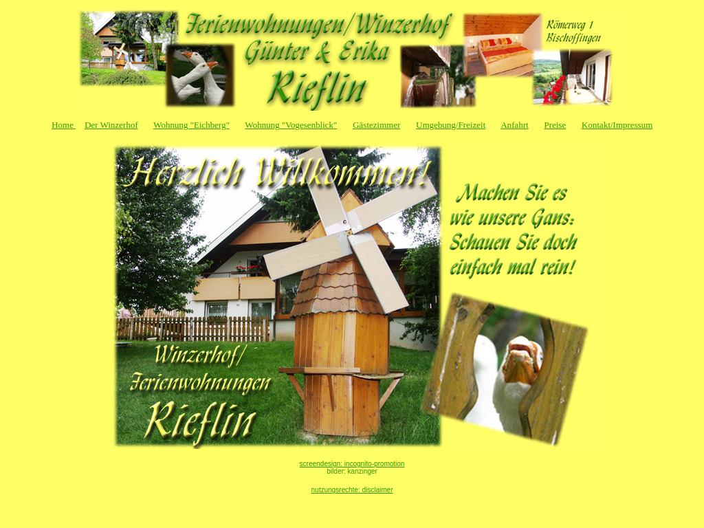 Website von Ferienwohnung Rieflin