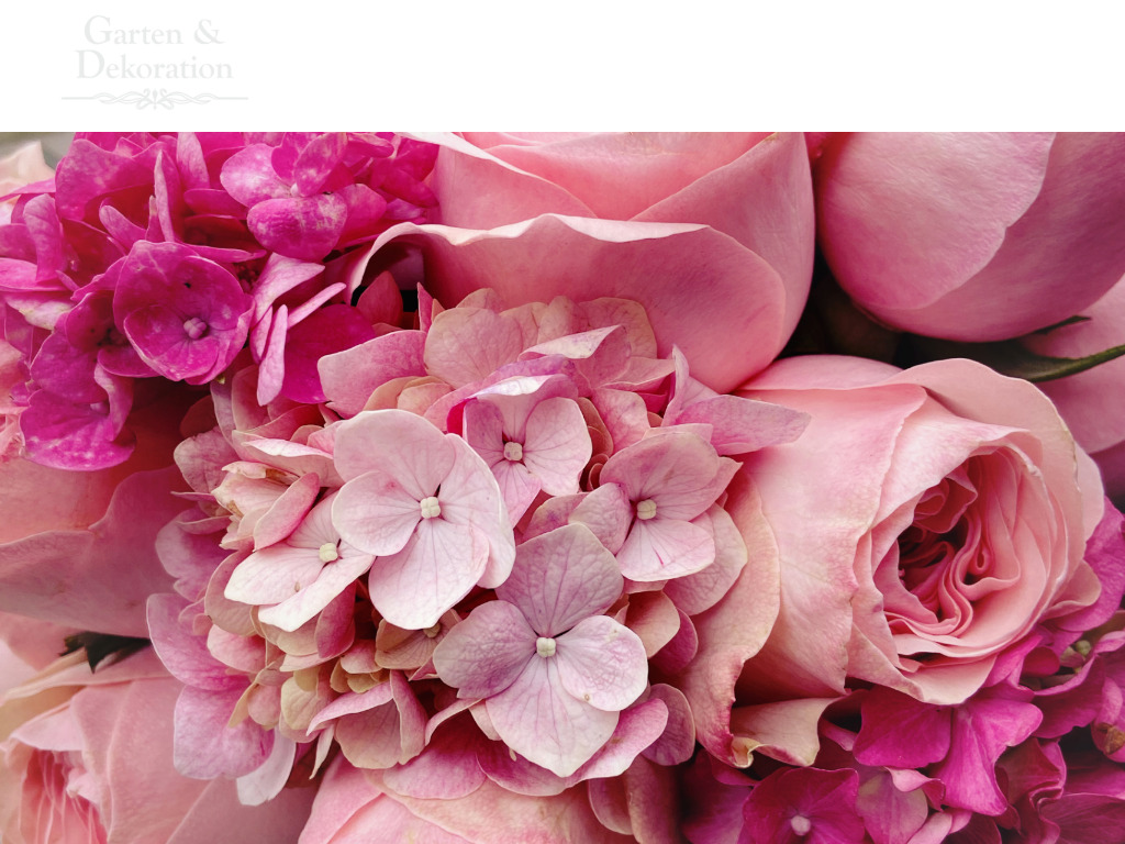 Website von Garten & Dekoration in Seevetal