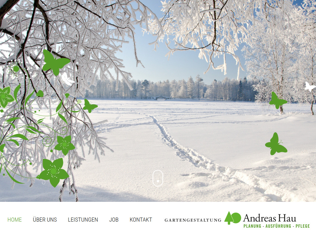 Website von Andreas Hau GmbH & Co. KG in Bornheim
