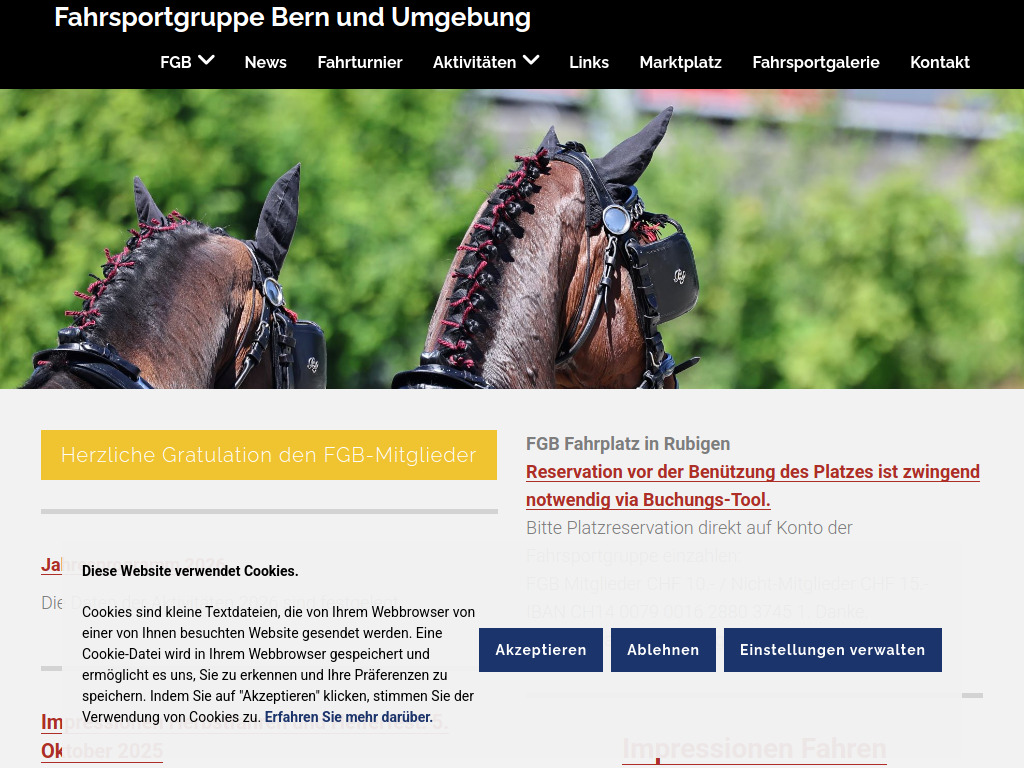 Website von Fahrsportgruppe Bern und Umgebung in Bern
