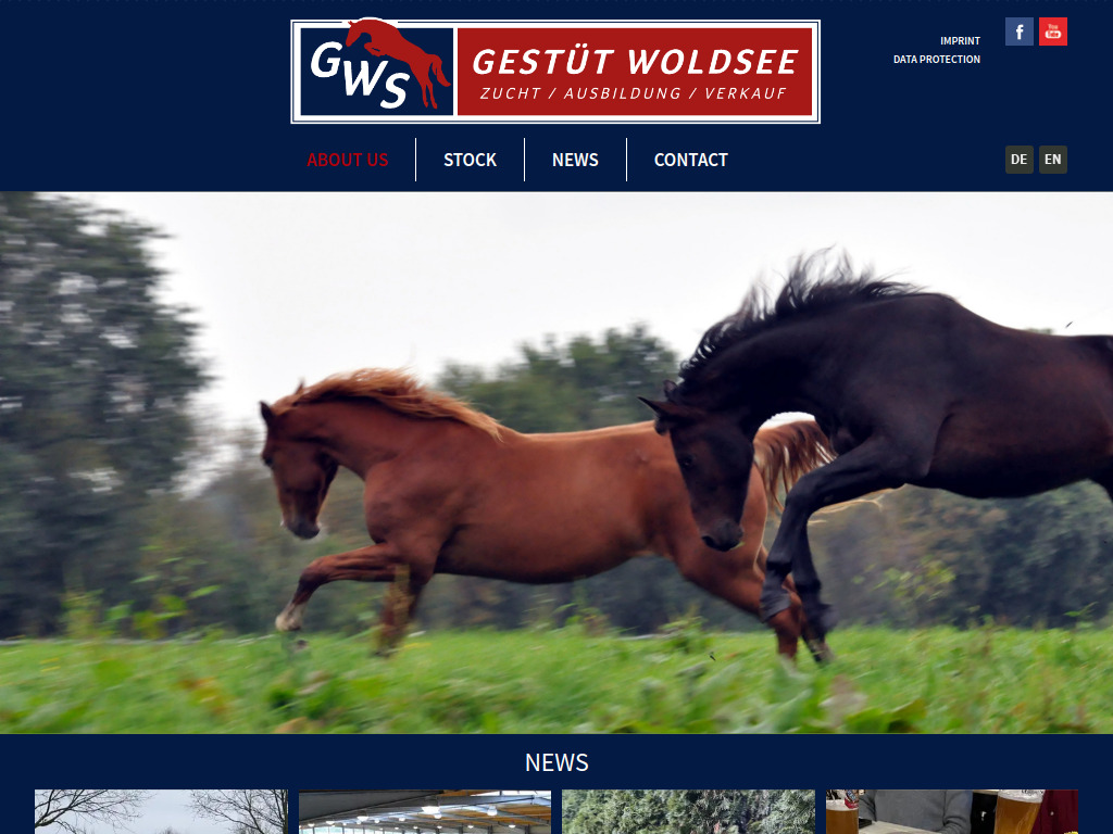 Website von Gestüt Woldsee GmbH in Bad Zwischenahn