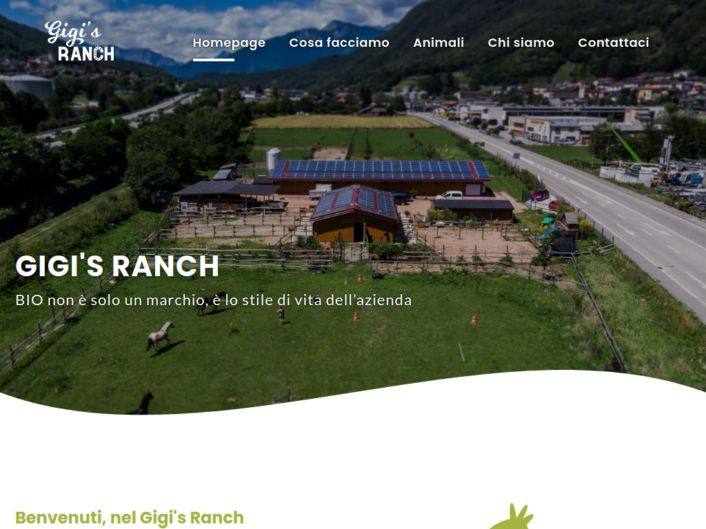 Website von Gigi's Ranch - Produzione di uova BIO da consumo