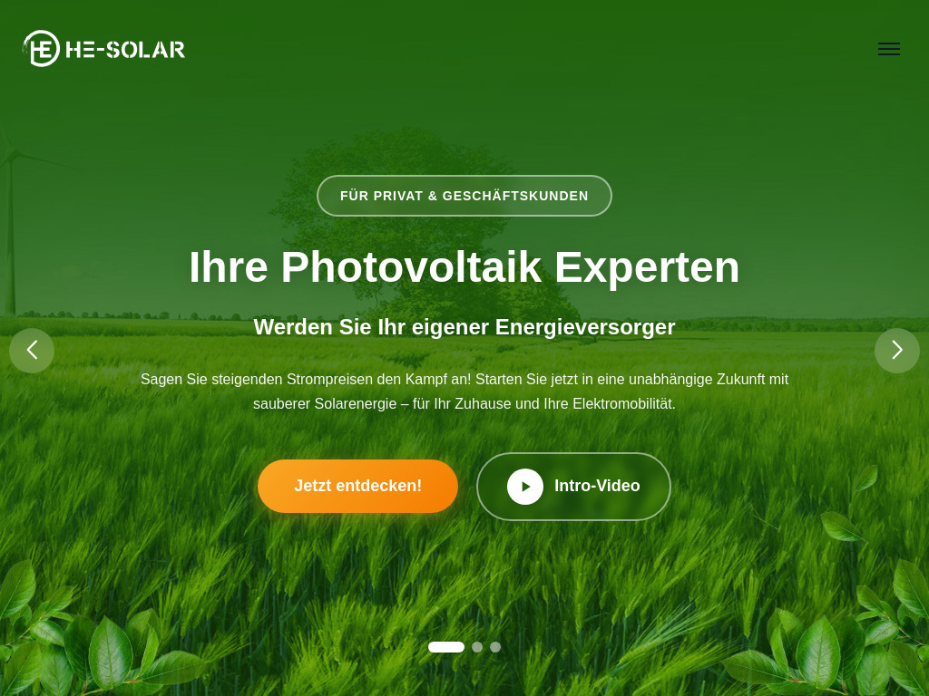 Website von HE-Sales & Marketing GmbH in Ingelheim am Rhein