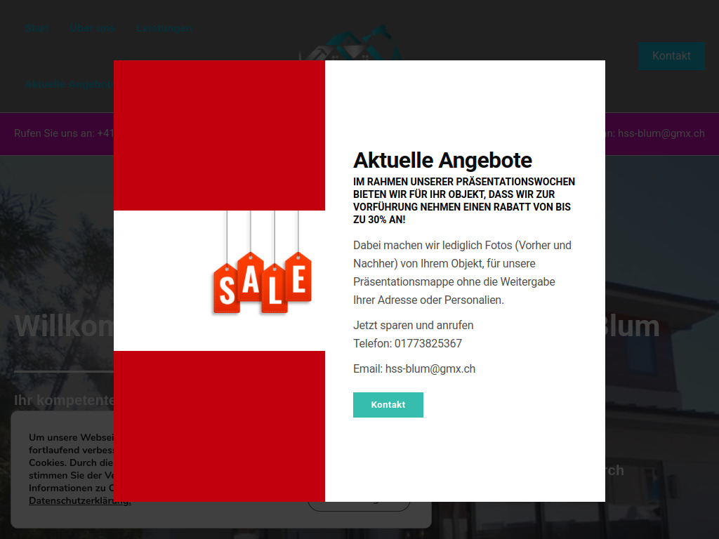 Website von HSS Sanierung & Solar Blum in Gossau