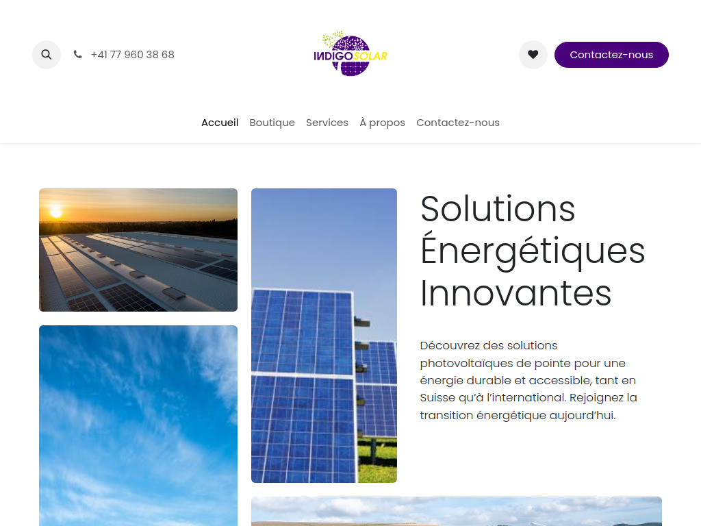 Website von Indigo Partners SA in Montreux
