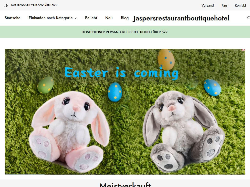 Website von Spielzeug in Rodgau