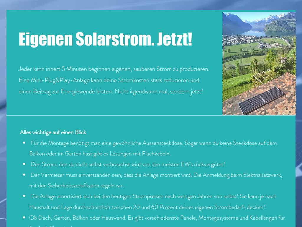 Website von Herger Computer in Goldau