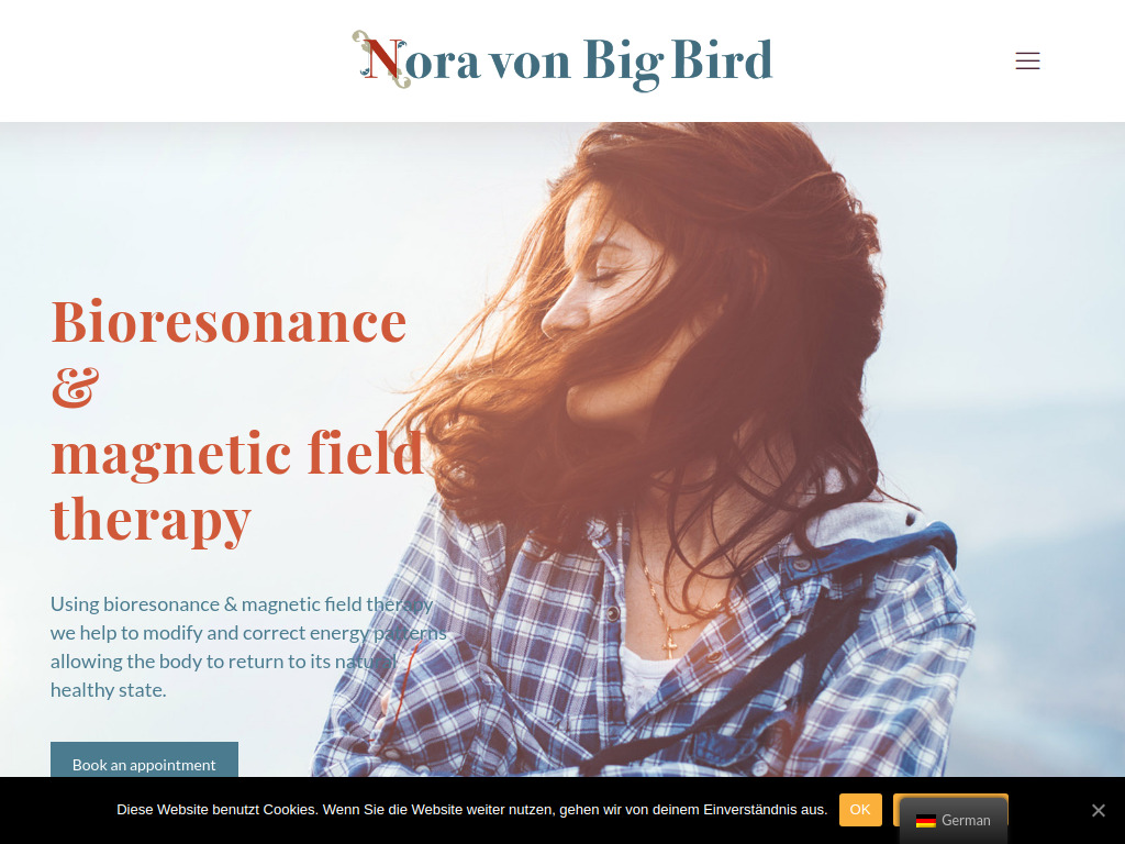 Website von Nora von Big Bird in Wien