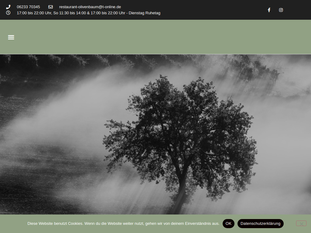 Website von Restaurant Olivenbaum in Heßheim