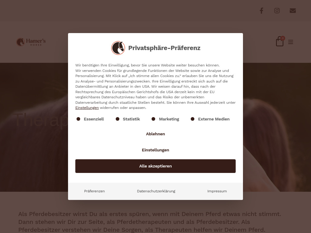 Website von Hamer´s Horse GbR in Dormitz