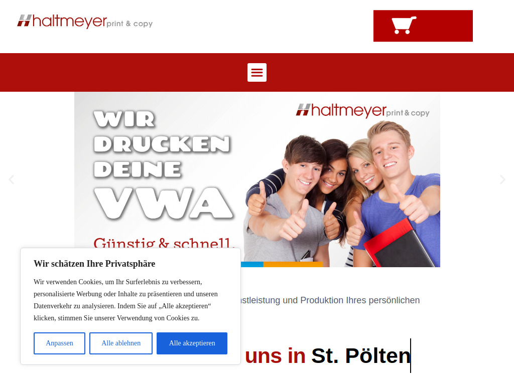 Website von Haltmeyer Gesellschaft m.b.H. in St. Pölten