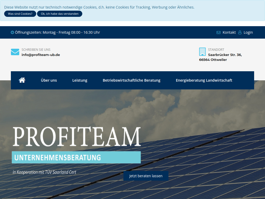 Website von Profiteam Unternehmensberatung in Ottweiler