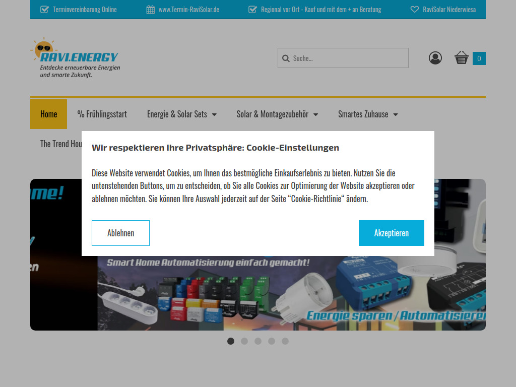 Website von RaviSolar Niederwiesa in Wh