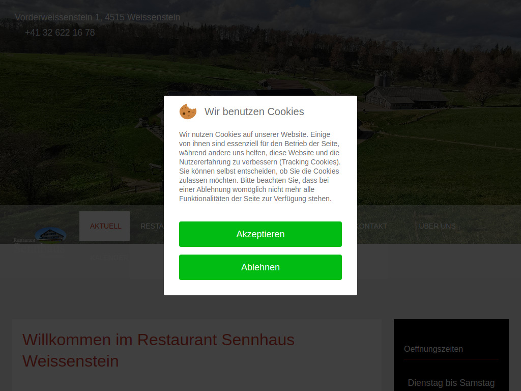Website von Gebr. Niederberger in Weissenstein