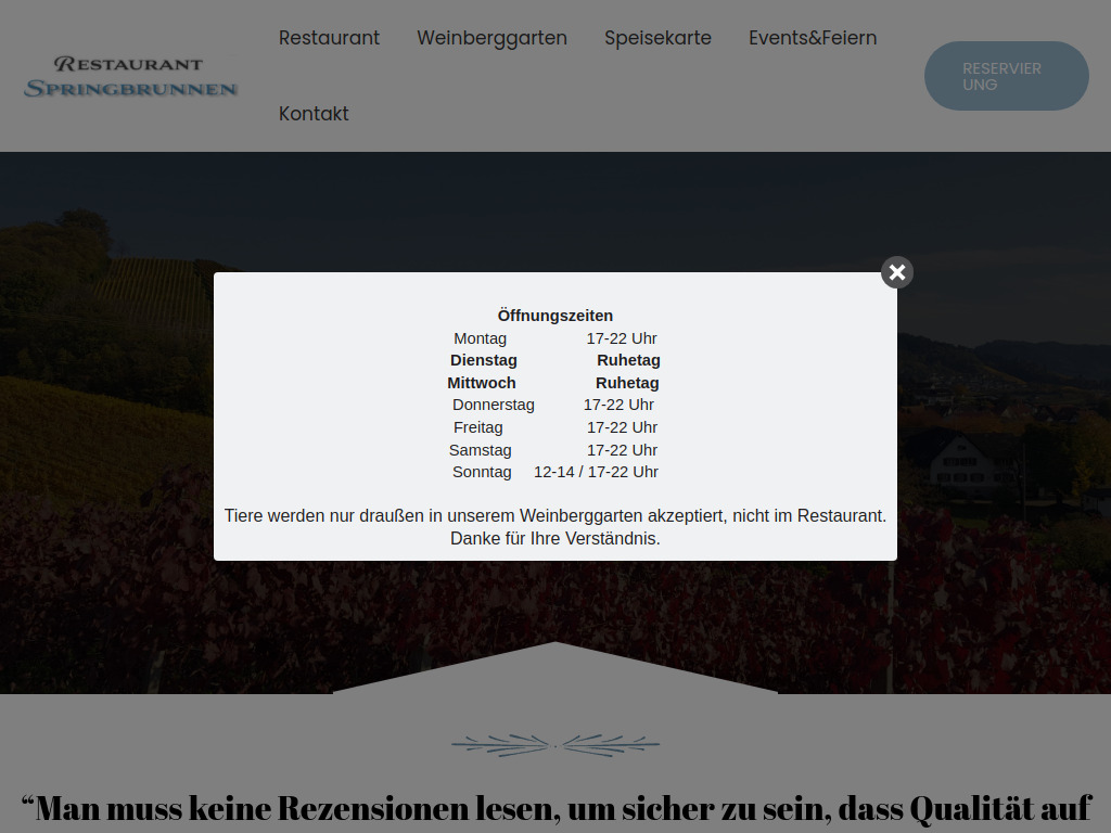 Website von Restaurant Springbrunnen in Oberkirch