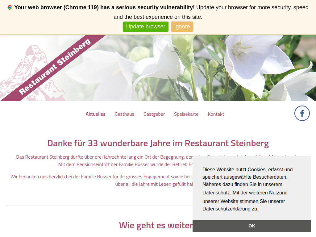 Website von Restaurant Steinberg in Homburg