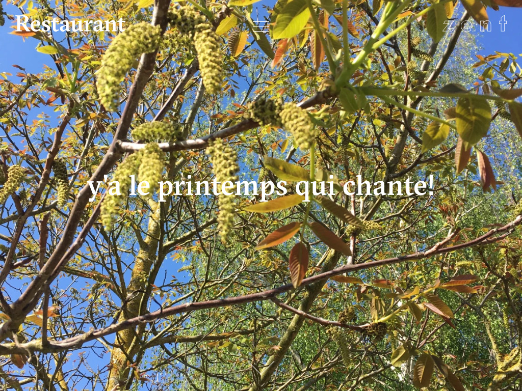 Website von Restaurant zent in Bern