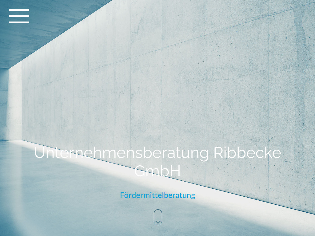Website von Unternehmensberatung Ribbecke GmbH in Rees