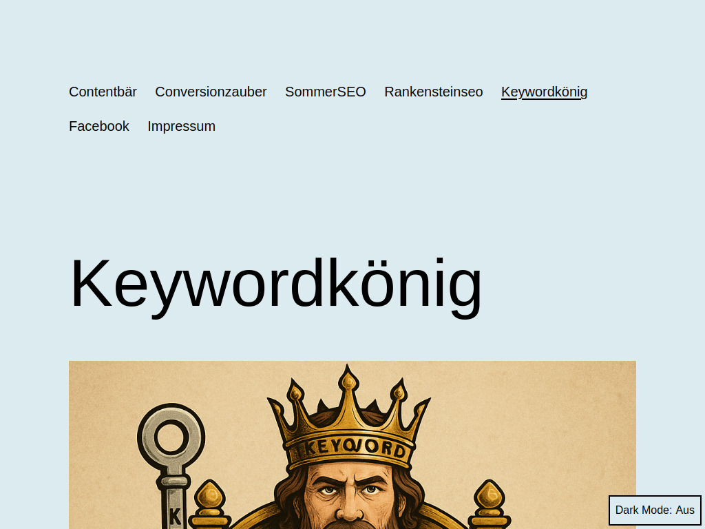Website von WEBWIZZARD Onlinemarketing in Bingen am Rhein