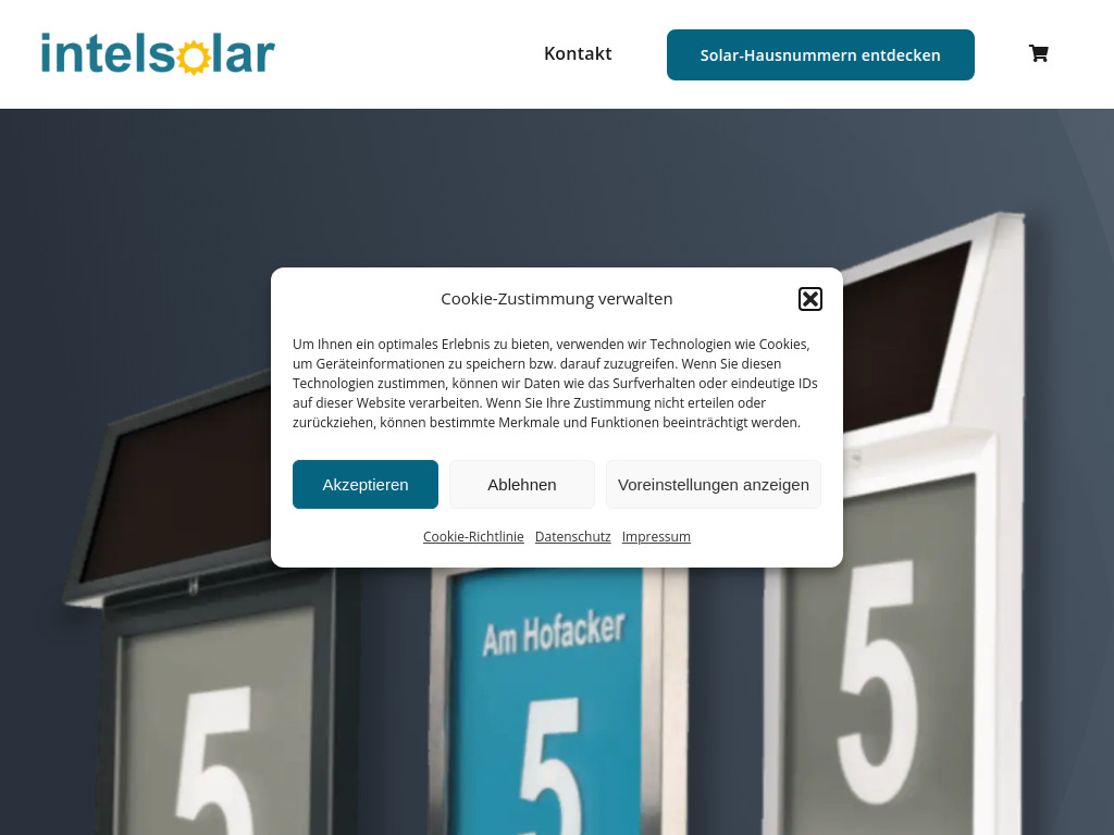 Website von intelsolar GmbH in Höhn
