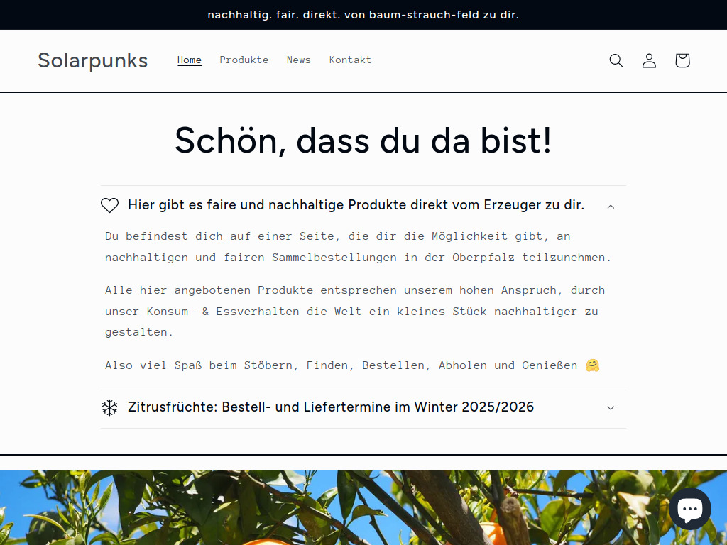 Website von Mirjam & Andreas Gmeiner - Solarpunks GbR in Weiden in der Oberpfalz