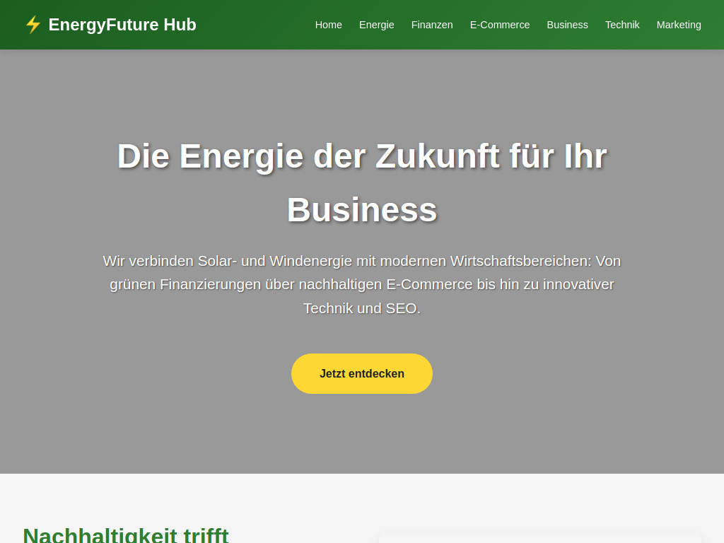Website von EnergyFuture Hub in Berlin