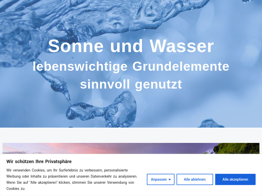 Website von Libertarian AG in Weite