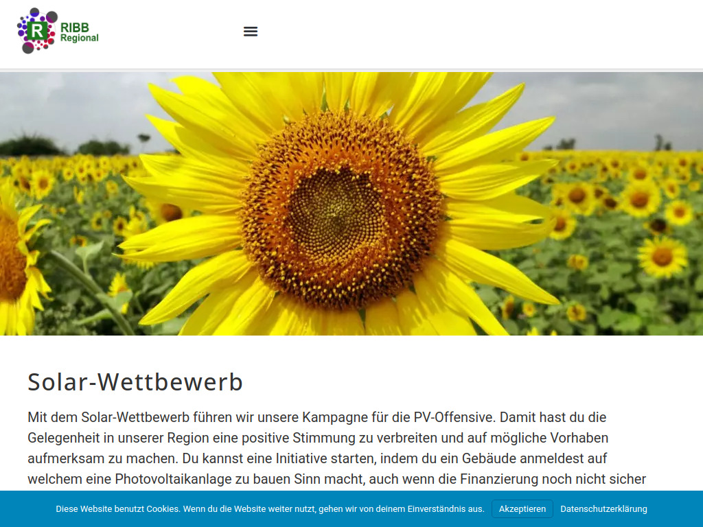 Website von Regionale Identität Baden Brugg in Turgi