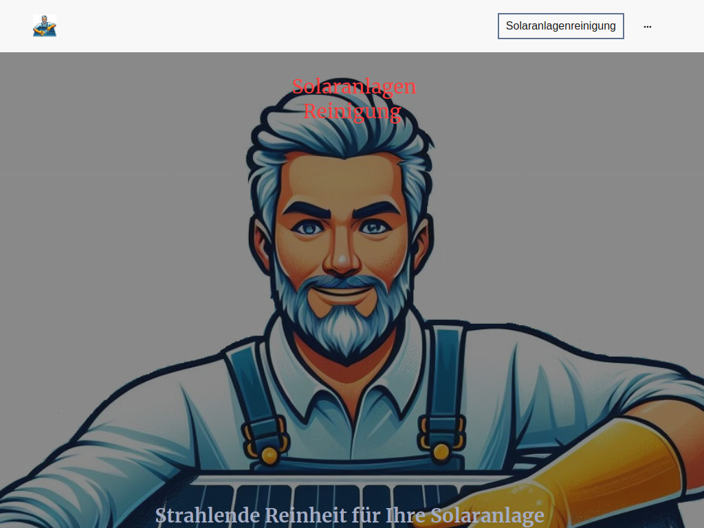 Website von Schössow Dienstleistungen in Dortmund