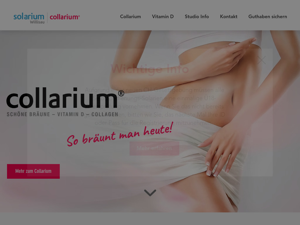 Website von Solarium Service AG in Willisau
