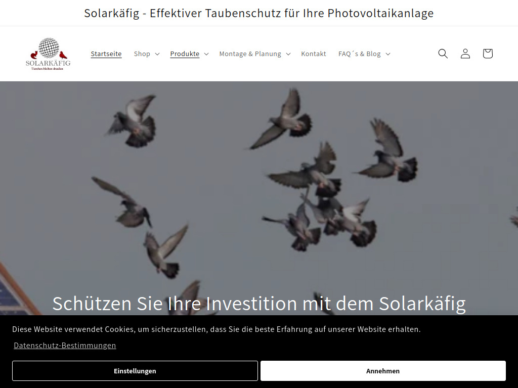 Website von Energetic Solar GmbH in Wolkshausen