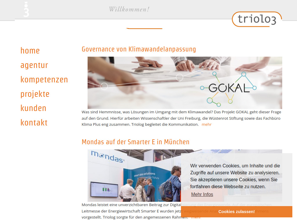 Website von triolog: index