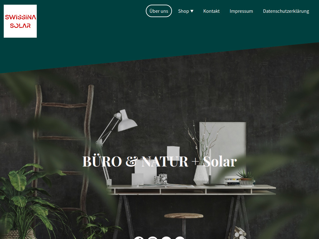 Website von Swissina AG in Wollerau