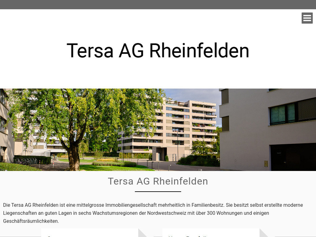 Website von Tersa AG in Rheinfelden