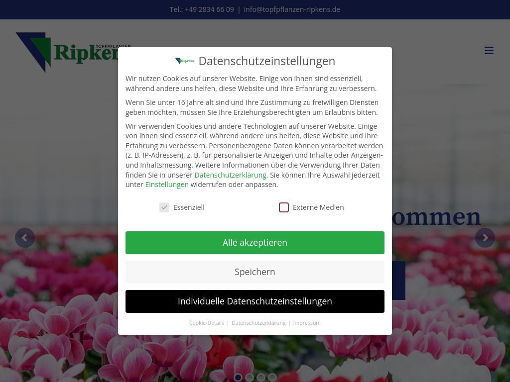 Website von Ripkens Topfpflanzen GbR in Straelen